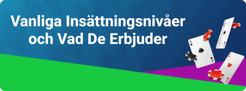 Vanliga Insättningsnivåer och Vad De Erbjuder